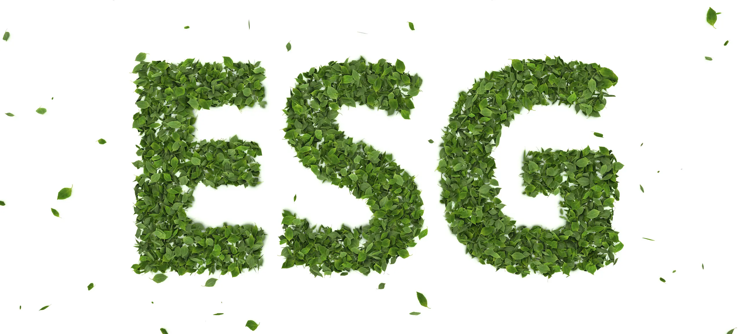 Criteri ESG: nuova frontiera per la Responsabilità Aziendale
