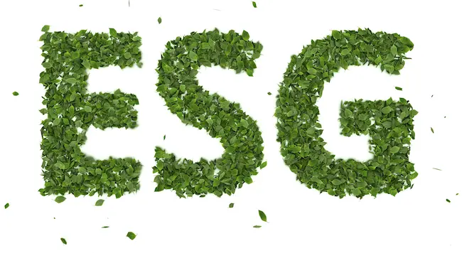 Consulenza Sostenibilità - ESG - Environmental Social Governance