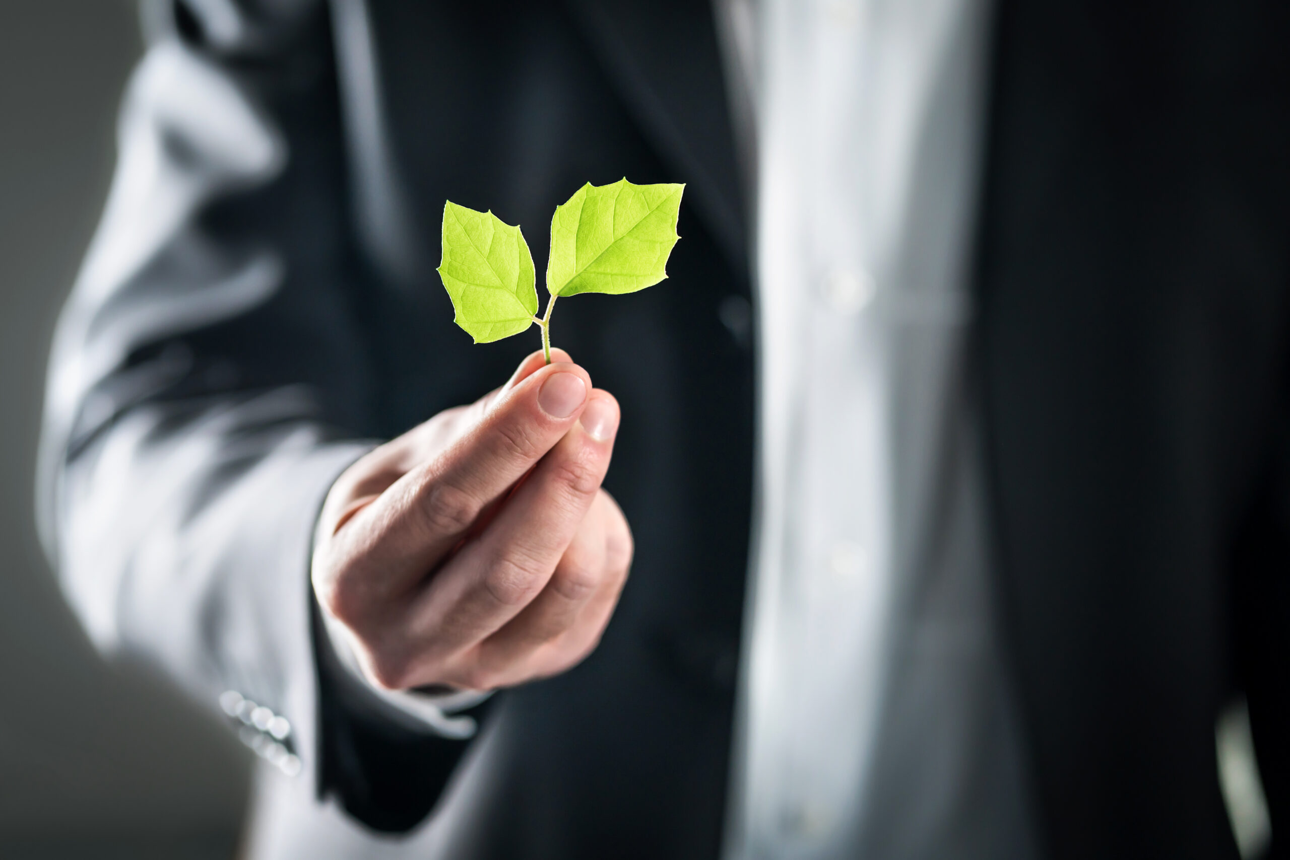 Leadership Sostenibile: Come i dirigenti guidano la trasformazione green delle aziende